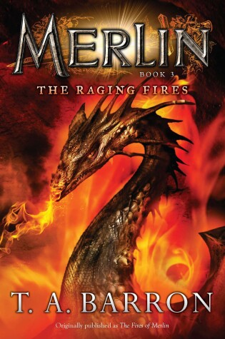Cover of The Raging Fires