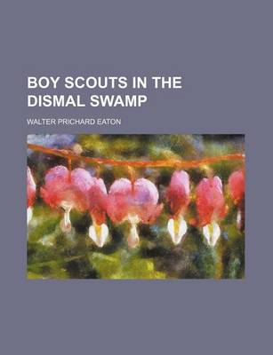 Book cover for Boy Scouts in the Dismal Swamp