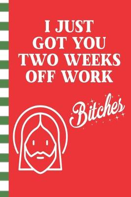 Book cover for I Just Got You Two Weeks Off Work Bitches