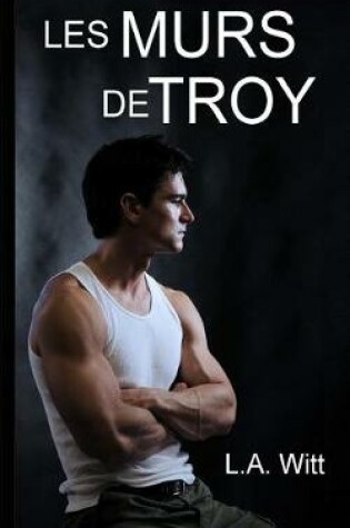 Cover of Les murs de Troy