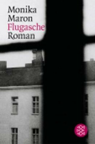 Cover of Flugasche