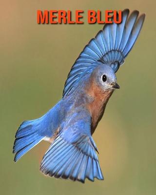 Book cover for Merle Bleu