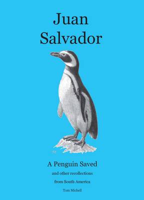 Book cover for Juan Salvador