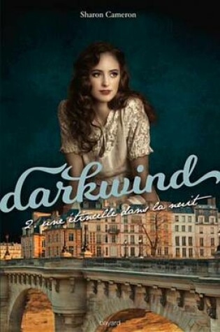 Cover of Darkwind, T02
