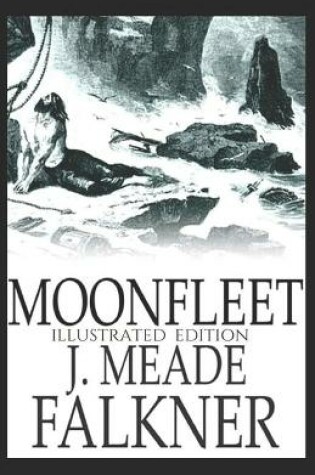Cover of Moonfleet Illustrated Edition