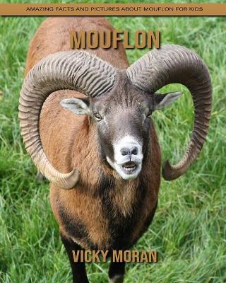 Book cover for Mouflon