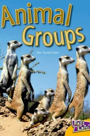 Cover of Animal Groups Fast Lane Yellow Non-Fiction