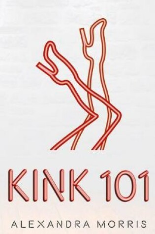 Cover of Kink 101