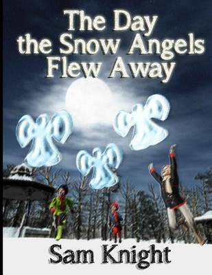 Book cover for The Day the Snow Angels Flew Away