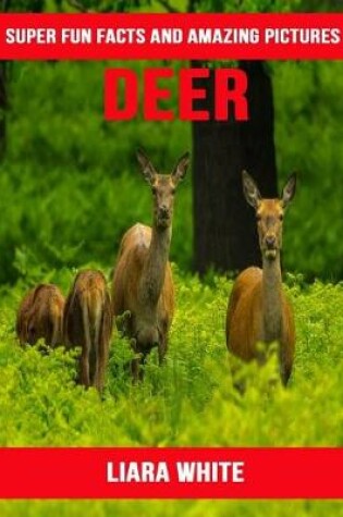 Cover of Deer