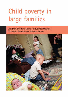 Book cover for Child poverty in large families