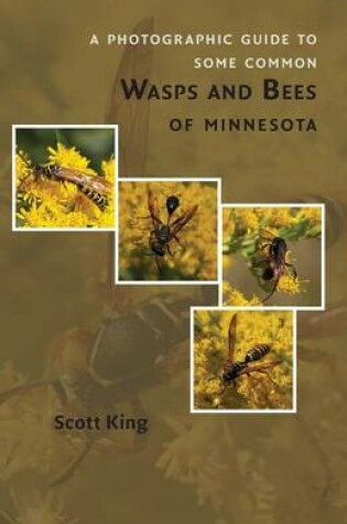 Cover of A Photographic Guide to Some Common Wasps and Bees of Minnesota
