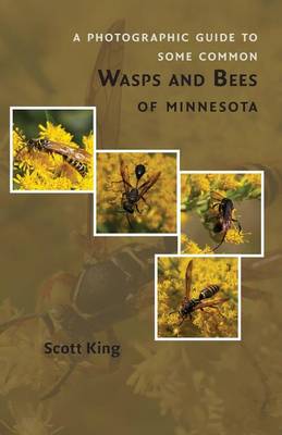 Book cover for A Photographic Guide to Some Common Wasps and Bees of Minnesota
