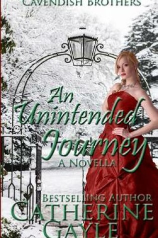 Cover of An Unintended Journey