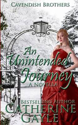 Book cover for An Unintended Journey