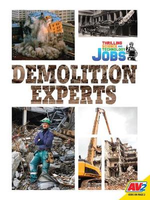 Book cover for Demolition Experts