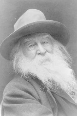 Book cover for Walt Whitman - achieve your goals, perfect 120 lined pages #1