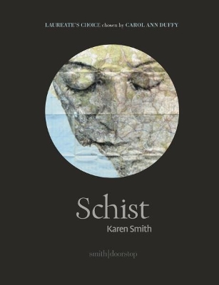 Book cover for Schist