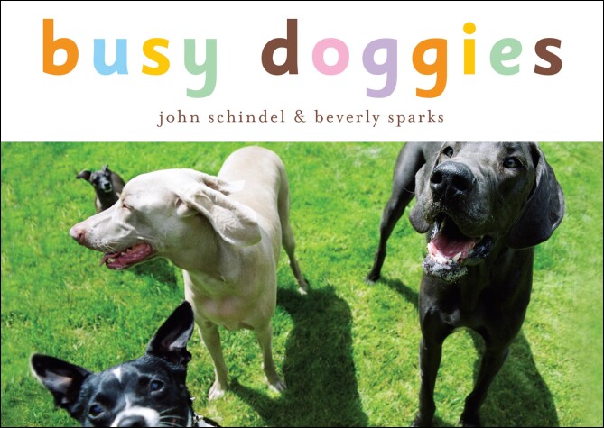 Cover of Busy Doggies