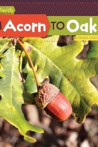 Cover of From Acorn to Oak Tree