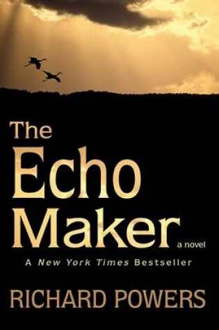 Cover of The Echo Maker