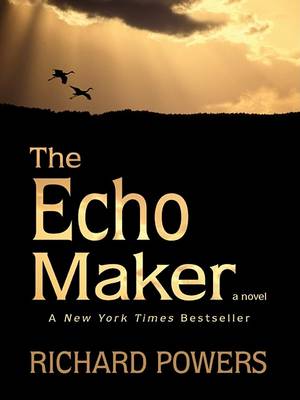 Book cover for The Echo Maker