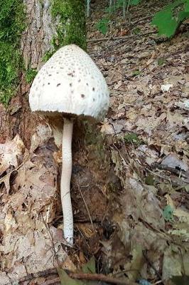 Cover of Journal Forest Mushroom Tree Base