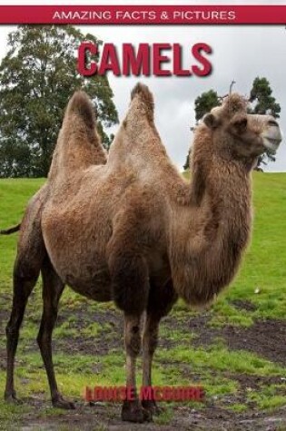 Cover of Camels