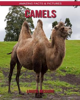 Book cover for Camels