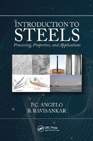 Cover of Introduction to Steels