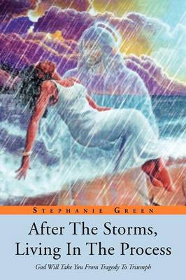 Book cover for After the Storms, Living in the Process