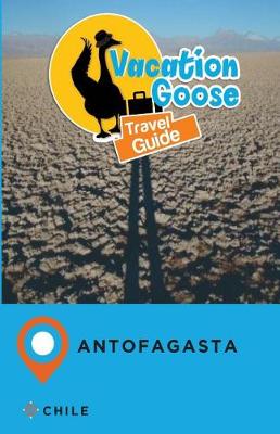 Book cover for Vacation Goose Travel Guide Antofagasta Chile