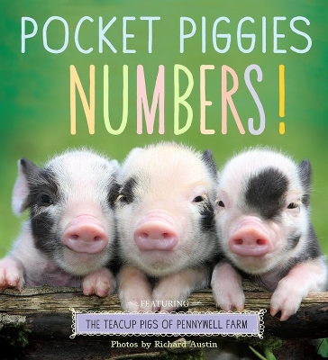 Book cover for Pocket Piggies Numbers!