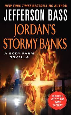 Book cover for Jordan's Stormy Banks
