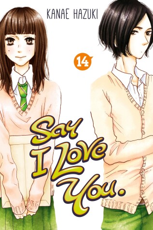 Book cover for Say I Love You Vol. 14