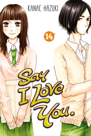 Cover of Say I Love You. 14