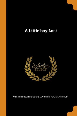 Book cover for A Little Boy Lost