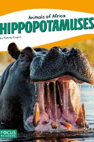 Cover of Animals of Africa: Hippopotamuses