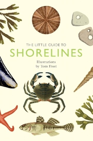 Cover of The Little Guide to Shorelines