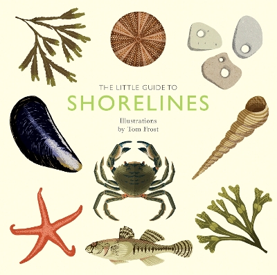 Book cover for The Little Guide to Shorelines
