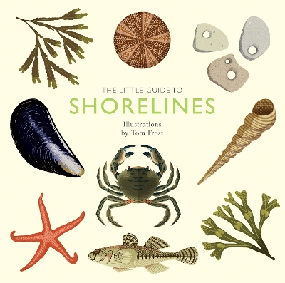 Cover of The Little Guide to Shorelines