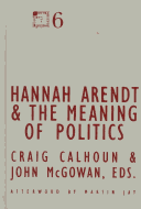 Book cover for Hannah Arendt and the Meaning of Politics