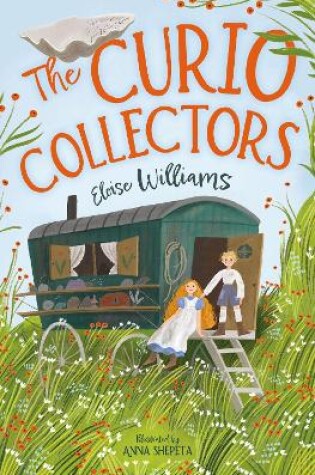 Cover of The Curio Collectors