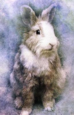 Book cover for Journal Notebook For Animal Lovers - Watercolor Rabbit