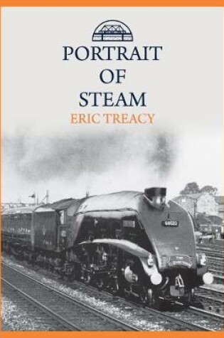 Cover of Portrait of Steam