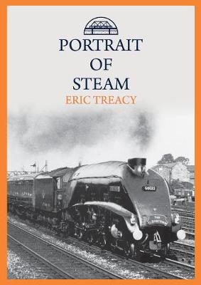 Book cover for Portrait of Steam