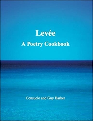 Book cover for Levee