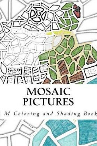 Cover of Mosaic Pictures