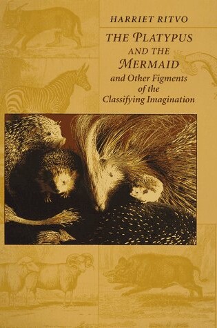 Cover of The Platypus and the Mermaid