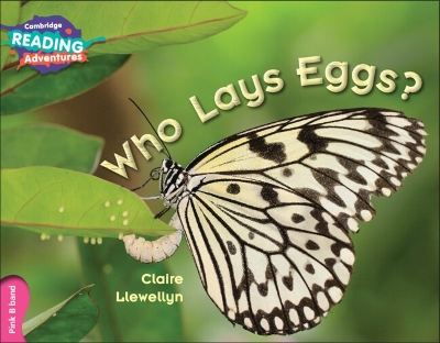 Book cover for Cambridge Reading Adventures Who Lays Eggs? Pink B Band